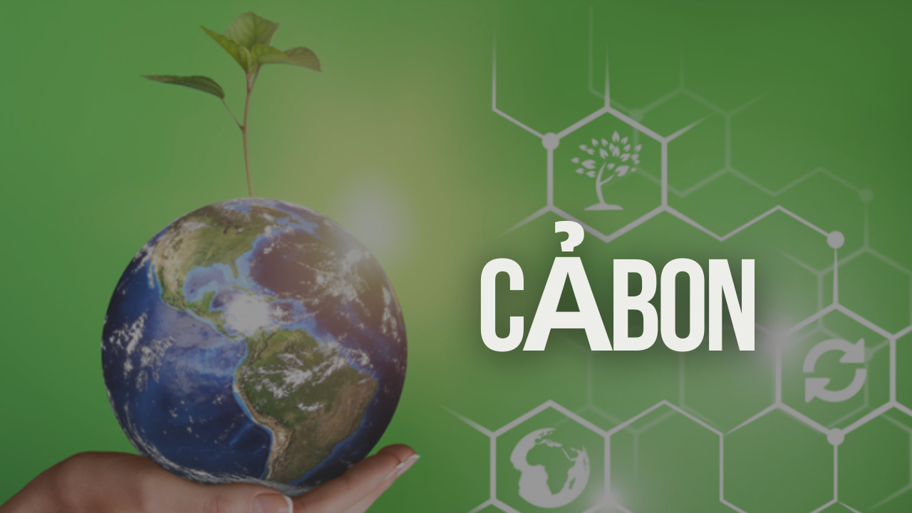 Carbon: Key Forms, Impacts, and Sustainability