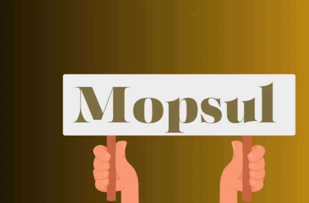 Mopsul Review: Value Check