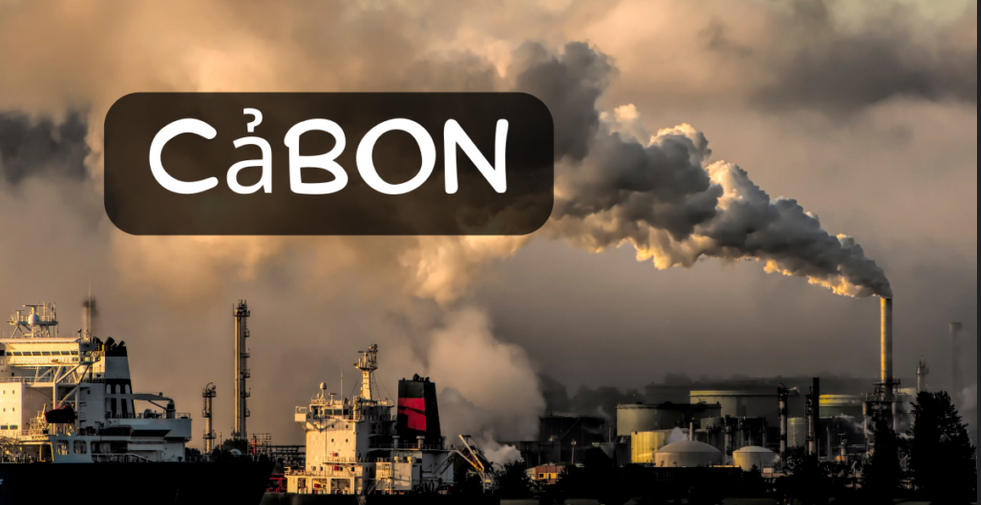 Carbon: Key Forms, Impacts, and Sustainability