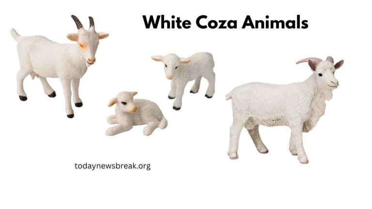 The Rising Trend of White Coza Animals on Social Media